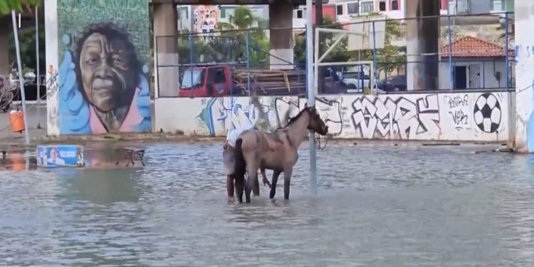 Maré de sizígia causa alagamentos em São Luís