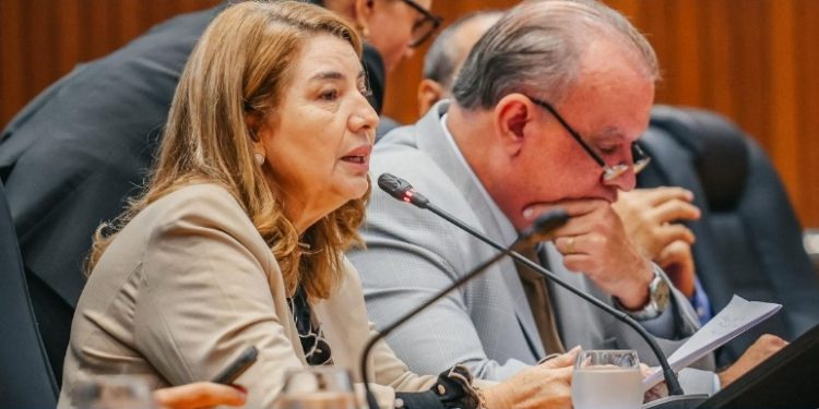 Iracema Vale enaltece iniciativa do governador Brandão que cria Programa Maranhão Livre da Fome