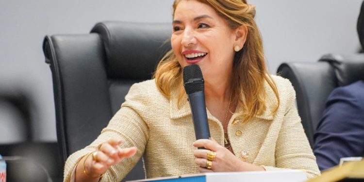 Iracema Vale afirma que manifestação da AGU reforça respeito à autonomia do  Parlamento