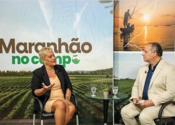 Plantas medicinais são destaque no programa ‘Maranhão no Campo’