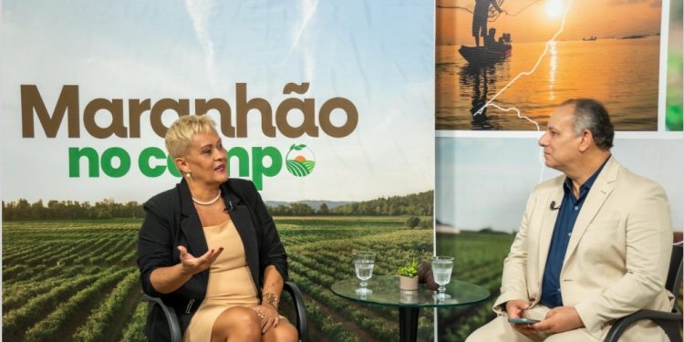 Plantas medicinais são destaque no programa ‘Maranhão no Campo’