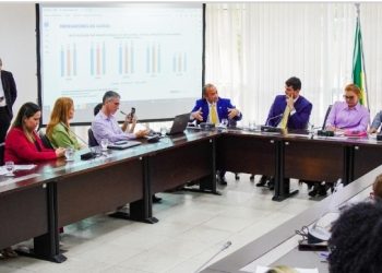 Comissão de Saúde da Alema analisa relatório das ações estaduais do 2º e 3º quadrimestres de 2024